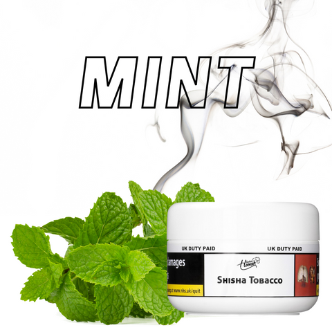 Mint | Shisha Flavour