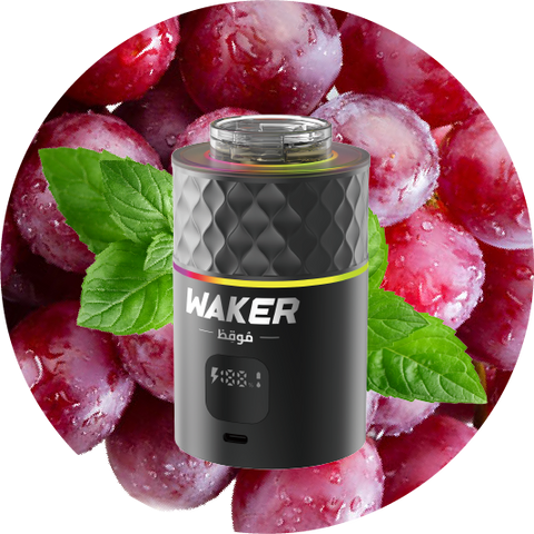 Waker E-Shisha Refill Pod - Grape Mint